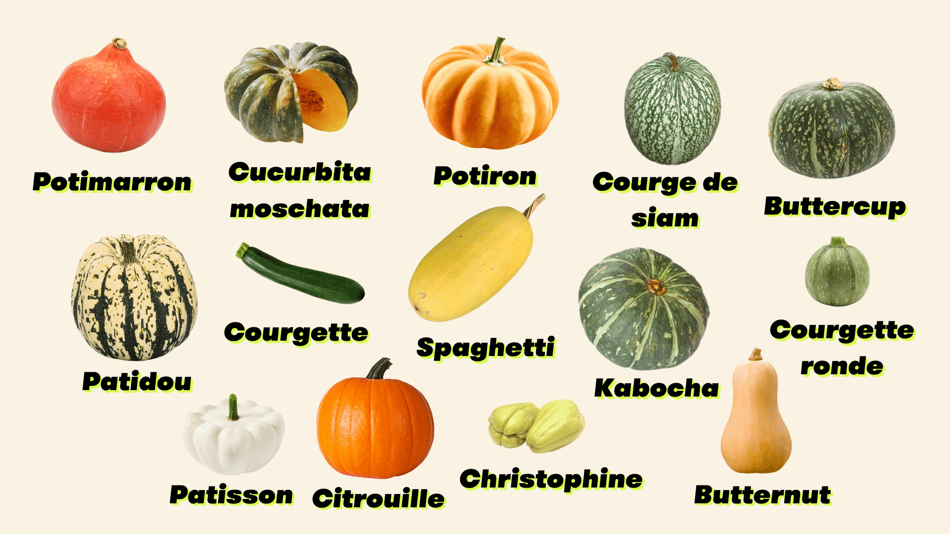 6347de7dd68e3e3835a67ad2_courges.png