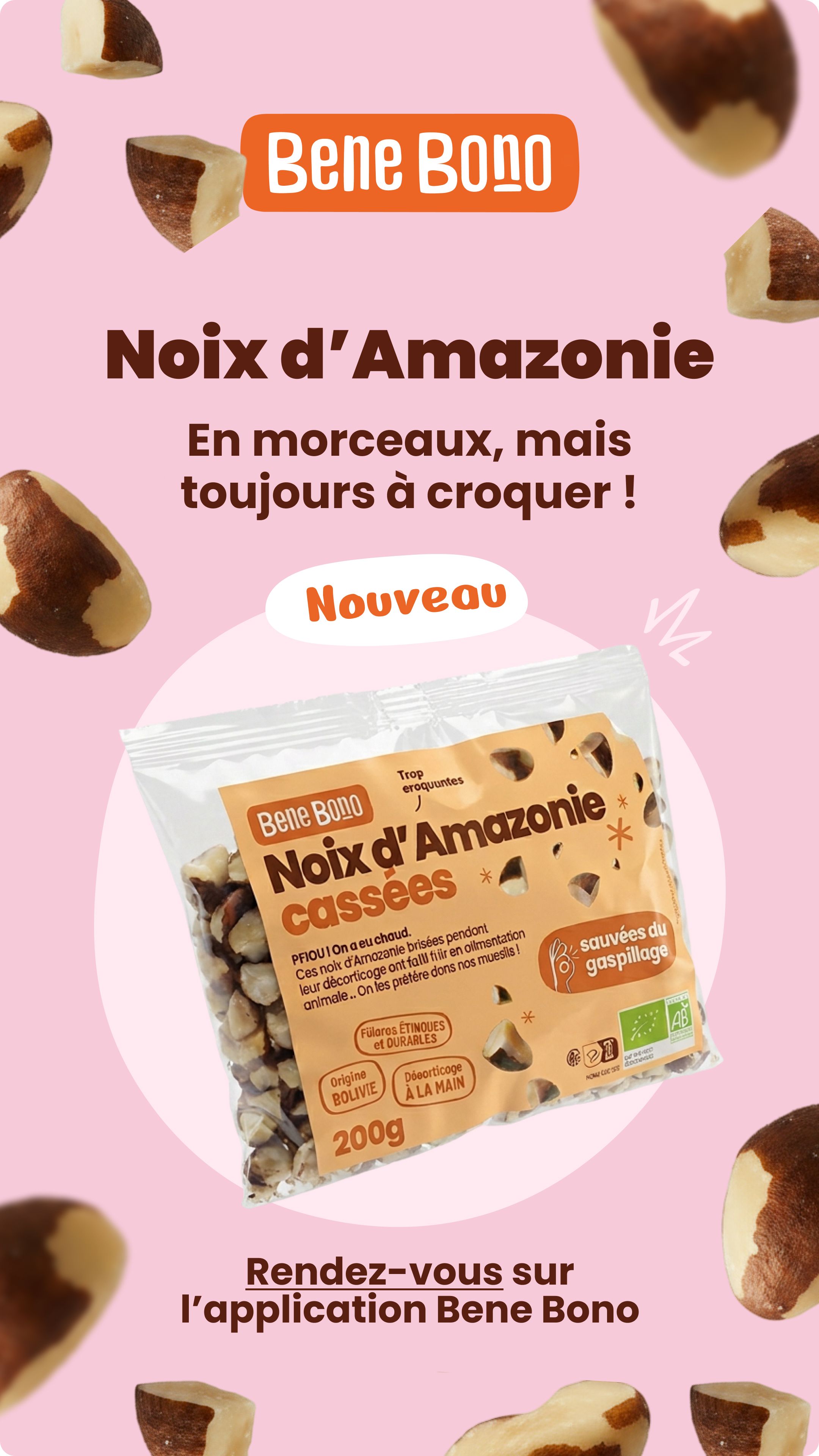 Noix d'Amazonie cassées