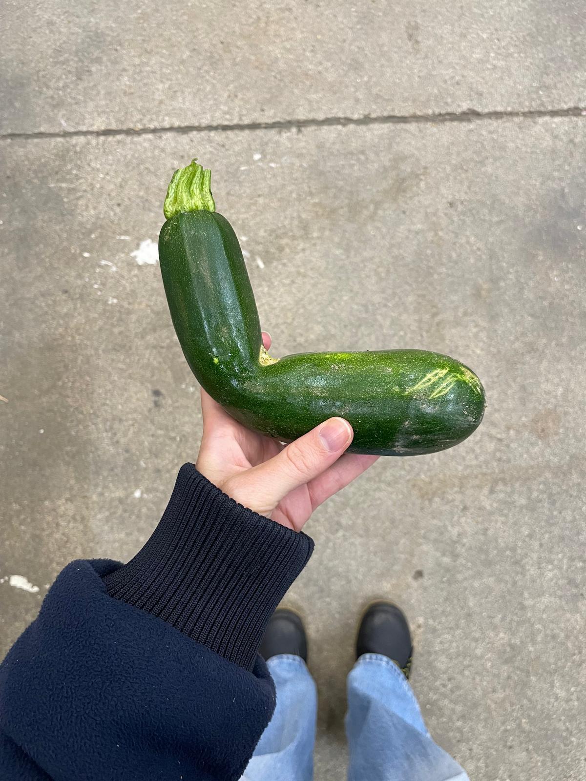 courgette tordue